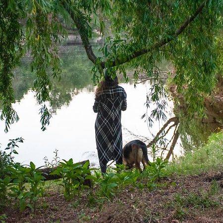 Quinta Da Lontra Villa Tábua Екстериор снимка