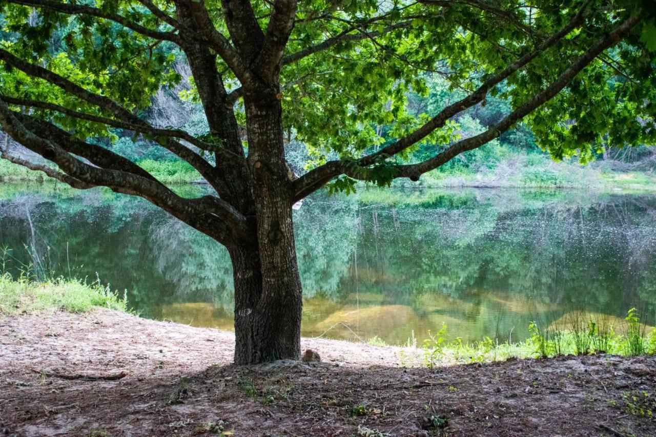 Quinta Da Lontra Villa Tábua Екстериор снимка