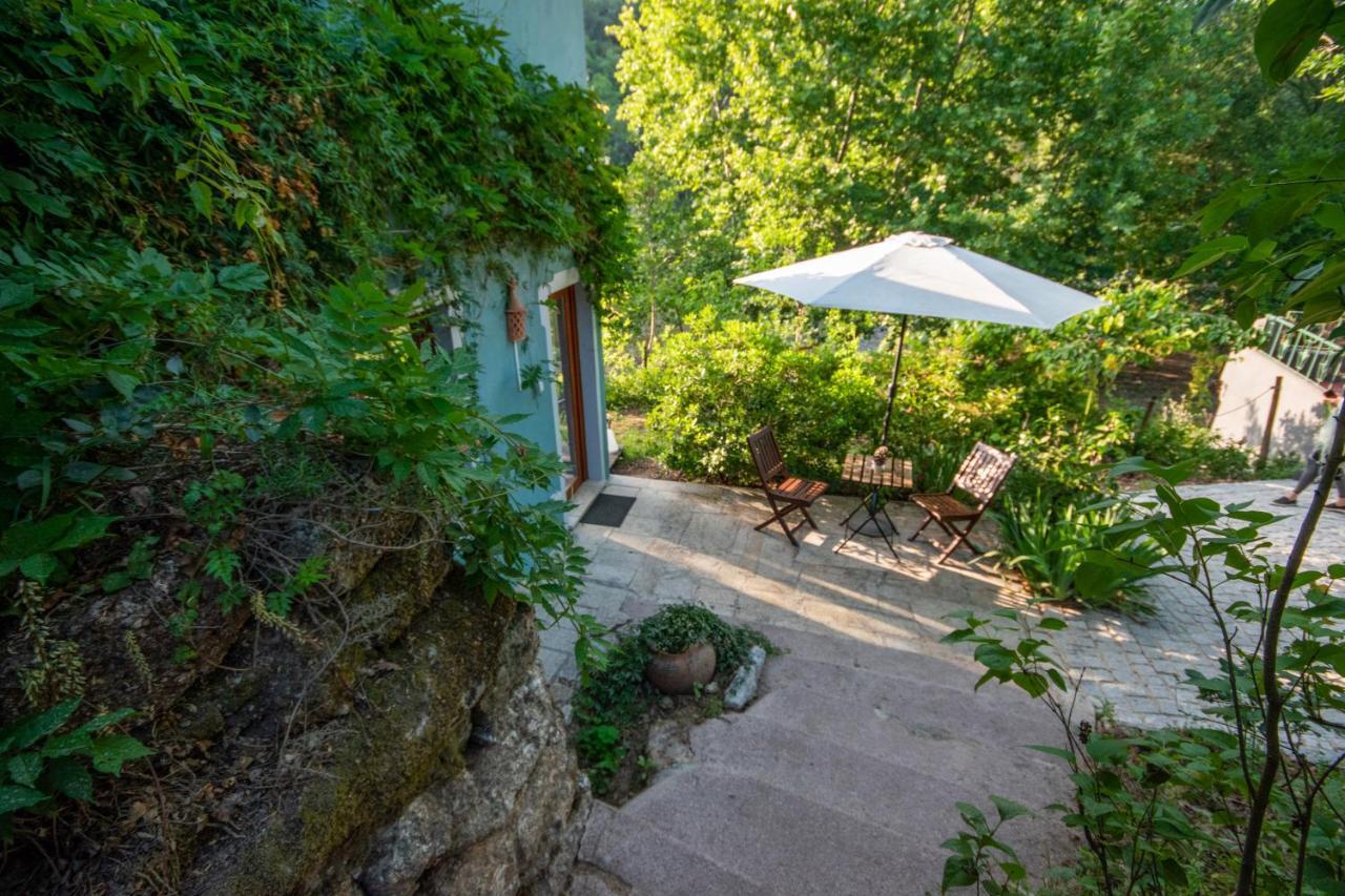 Quinta Da Lontra Villa Tábua Екстериор снимка