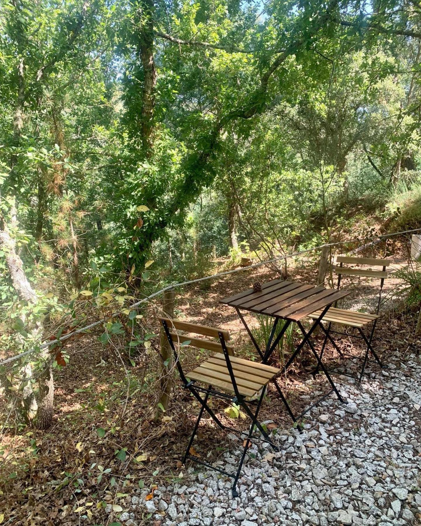Quinta Da Lontra Villa Tábua Екстериор снимка