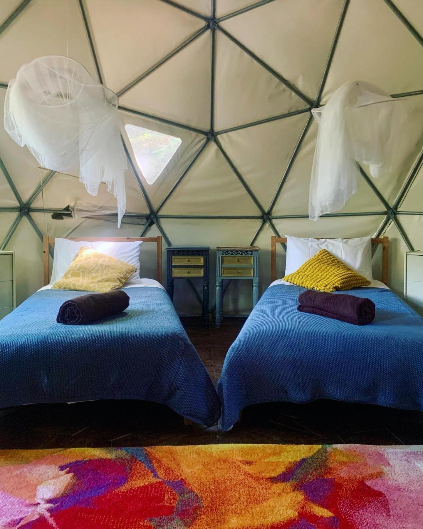 Quinta Da Lontra Villa Tábua Екстериор снимка