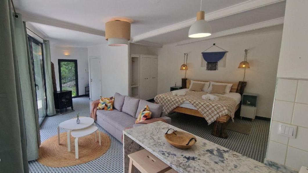 Quinta Da Lontra Villa Tábua Екстериор снимка