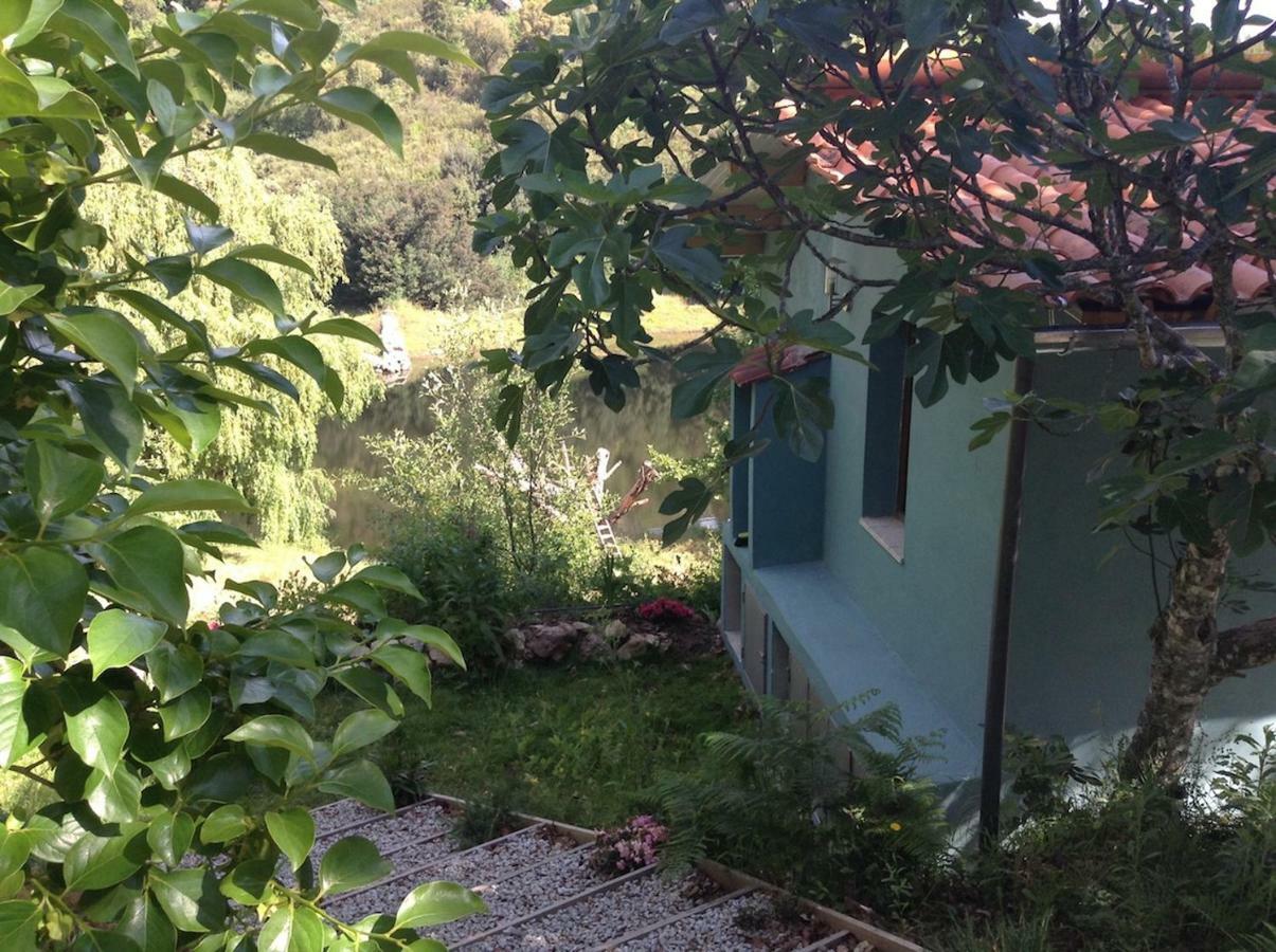 Quinta Da Lontra Villa Tábua Екстериор снимка