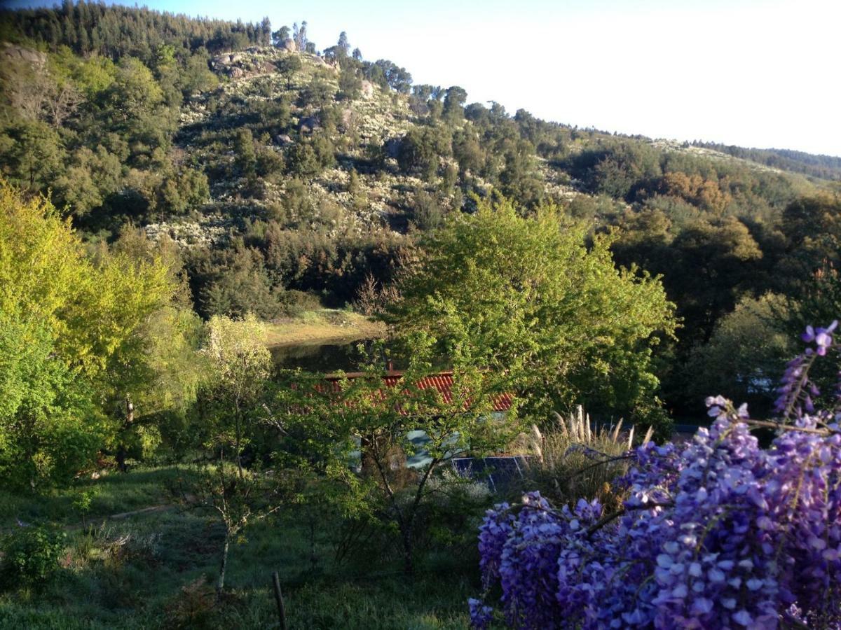 Quinta Da Lontra Villa Tábua Екстериор снимка
